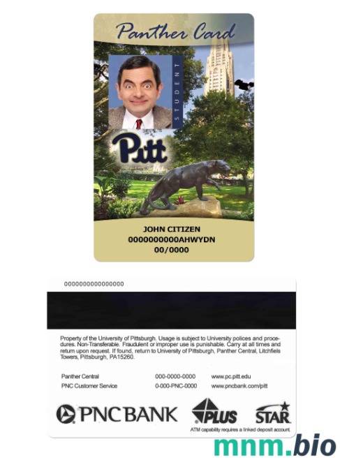 Szablon legitymacji studenckiej Uniwersytetu Pittsburgh (USA), karta Panther w PSD
